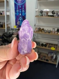 Lepidolite Dinosaur Head -Home Decor Store CD22AD1F DE07 4ACC 8A2C BB49C44360DC