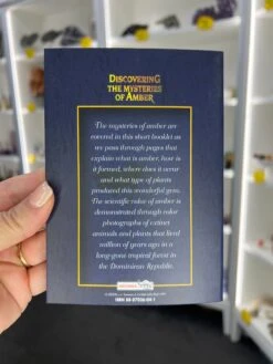 Amber Pack -Home Decor Store CE7419CE F13B 4CDF 8295 BC55D0A1D5CB