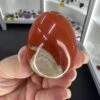 Red Jasper Egg -Home Decor Store CF3CB97A 3AAC 4255 84E2 7B521F24E353