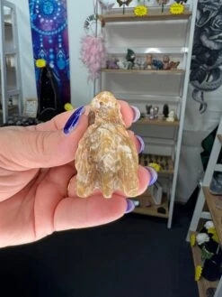 Chocolate Calcite Dragon Head -Home Decor Store D1D59369 B602 43F9 8906 C7931A704C2B