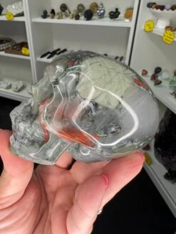 Bloodstone Skull -Home Decor Store D28480DE B265 409E 81C9 E8070C6F5820
