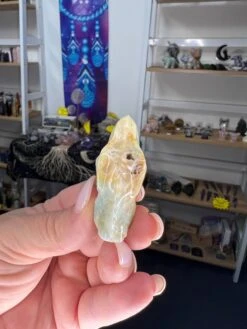 Caribbean Calcite Dinosaur Head -Home Decor Store D2AF17F5 72BB 43DB 8F48 5D4AFD9533B0