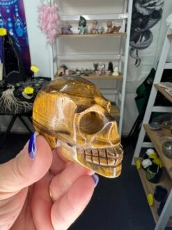 Tiger’s Eye Skull