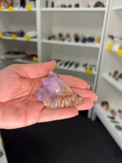 Amethyst / Crazy Lace Agate Dolphin -Home Decor Store D37CE3B1 FCB7 4A75 9A3F 40DDBED803BC