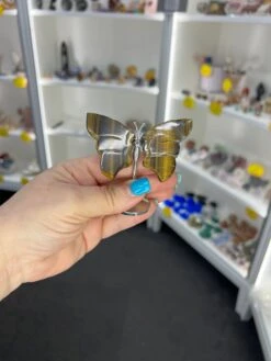 Tigers Eye Butterfly -Home Decor Store D738B983 7643 4BC2 A46A 938E962BCE38