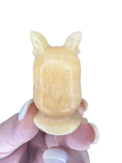 Honey Calcite Pokemon Character -Home Decor Store D9829109 196A 4618 AE35 1CAB747E93A0