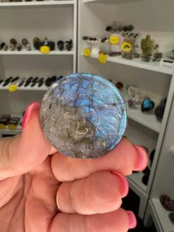 Labradorite Lion Head Disk