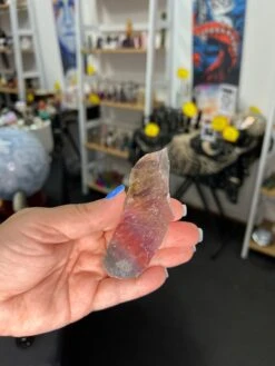 Auralite 23 Slice -Home Decor Store DE8E7268 62A8 4691 9F0F FD39CA4C1D36