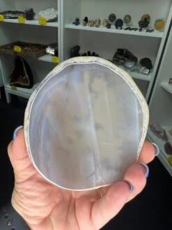 Agate Slice With Pokemon Print -Home Decor Store E0626452 CFAE 44E4 B399 94ABB5670D76