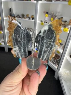 Caribbean Calcite Butterfly