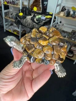 Tiger Eye Turtle -Home Decor Store E8DF05CA 61DB 4443 98D3 CFF5AFB4D498