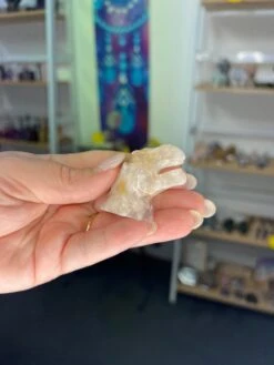 Flower Agate Dinosaur Head -Home Decor Store EA9DFFD6 376A 4771 9291 174A24930B0E