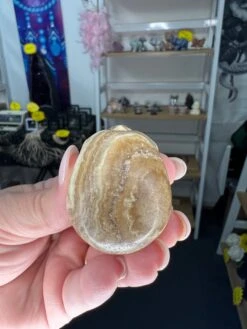 Chocolate Calcite Skull -Home Decor Store EB1E3922 F7D2 437B 9A39 EC4368E129FD