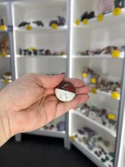 Red Jasper X Howlite Pokeball -Home Decor Store EBEE2727 05DD 4D11 85B3 D77137DCCD66