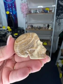 Chocolate Calcite Skull -Home Decor Store ED09EDB9 A2B9 4266 B81D 2403D5358AEA