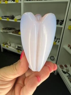 Home Decor Store -Home Decor Store EE94295E 78CC 4498 866E 61DF5D9D75BA