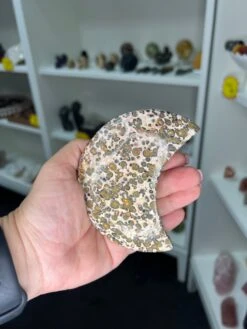 Leopardskin Jasper Moon -Home Decor Store F2848D16 A77E 45A6 8D62 40CCAF1A0ED7