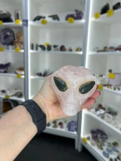 Rose Quartz Alien Head With Labradorite Eyes 13 Rose Quartz Alien Head With Labradorite Eyes -Home Decor Store FA01C816 854B 498D B2A2 7FAA891AD63F