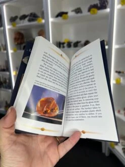 Amber Pack -Home Decor Store FE7984A9 4BD3 4784 AD5E 4111C409C53B